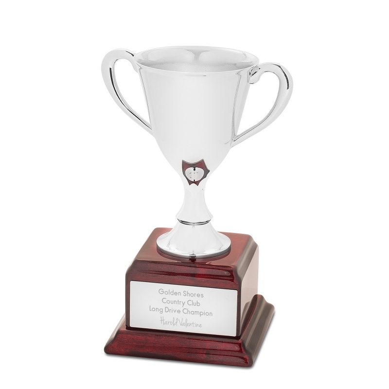 Image of Small Silver Trophy Cup