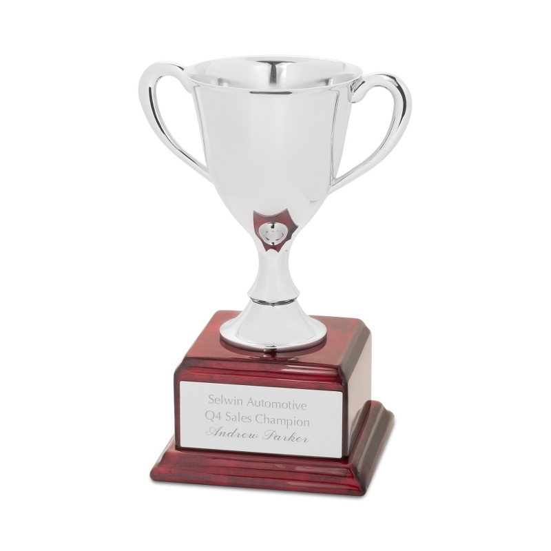 Image of Medium Silver Trophy Cup