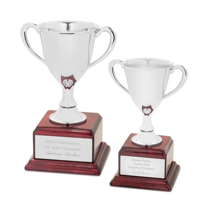 Image of Silver Trophy Cup
