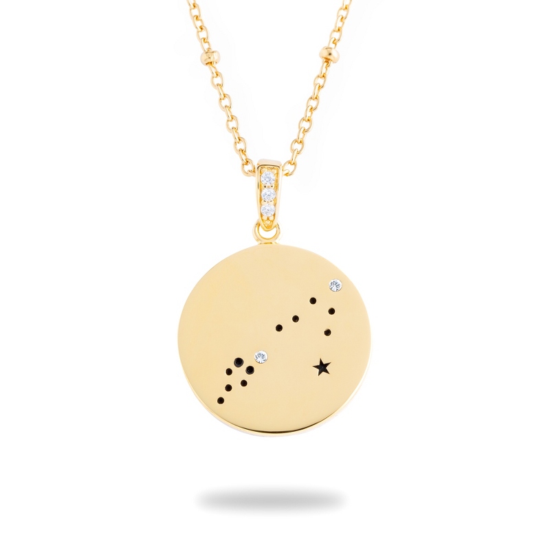 Image of Gold Sterling Silver Pisces Zodiac Necklace