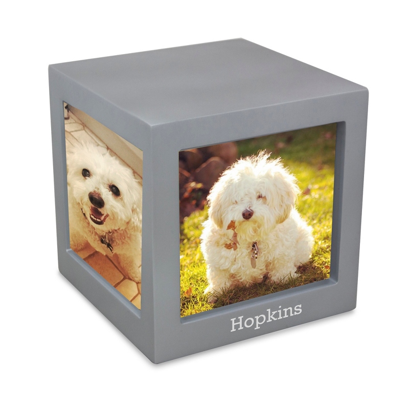 Image of Silver Pet Photo Cube Urn