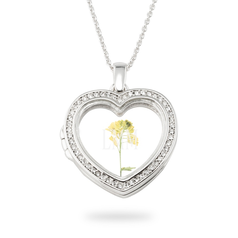 Image of Silver Pave Heart Glass Locket
