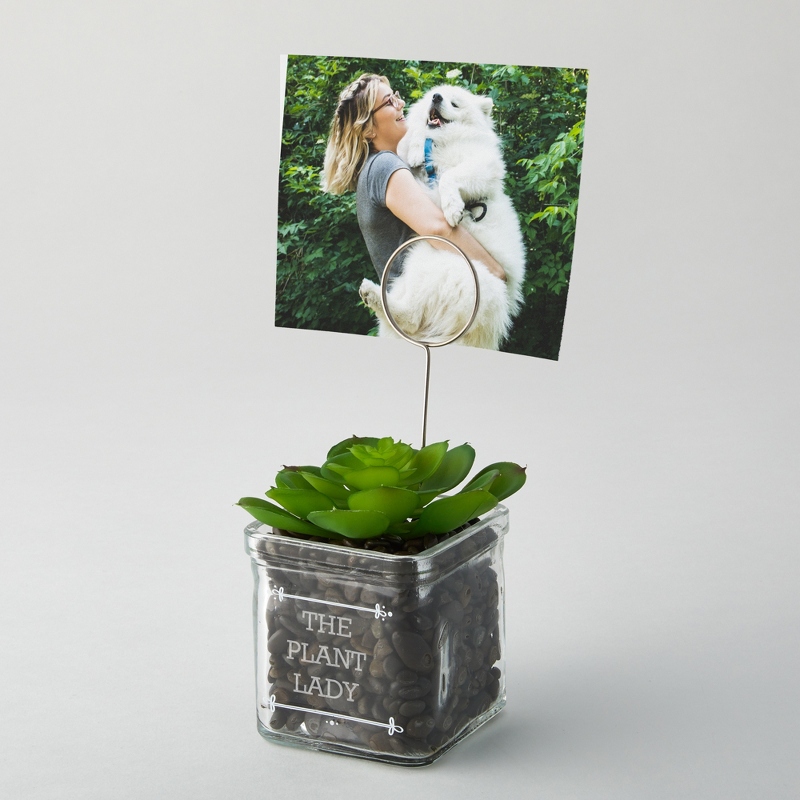 Image of Faux Succulent Plant with Photo Clip