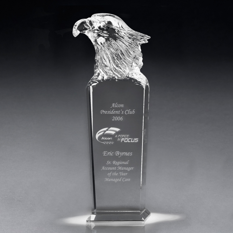 Image of Sky Master Award