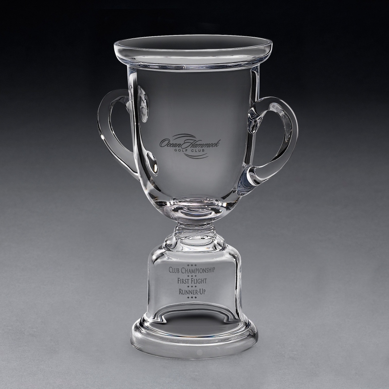 Image of Adriondack Award