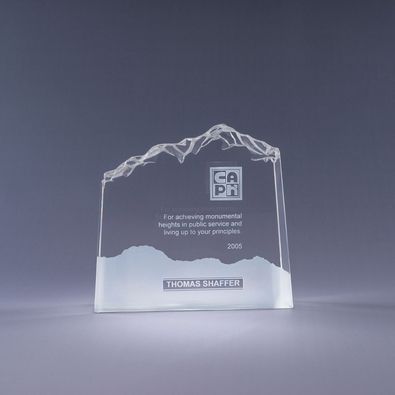 Image of Optic Mountain Award